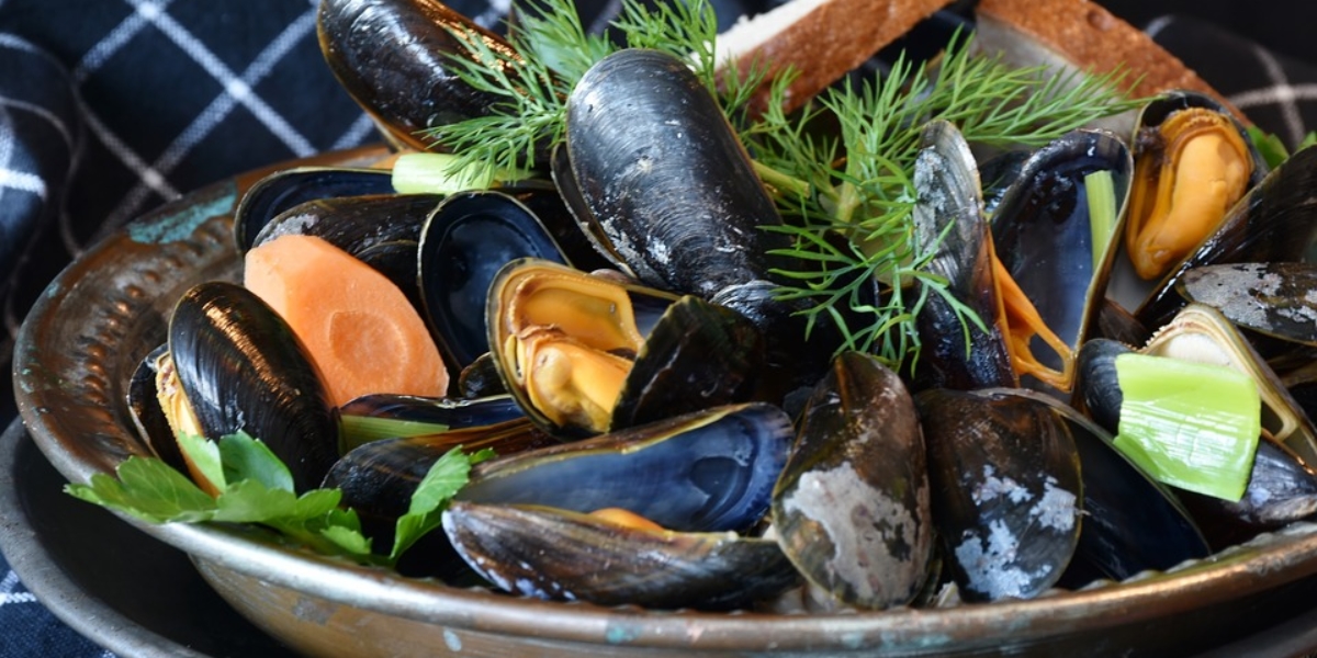 mussels-3148452_960_720